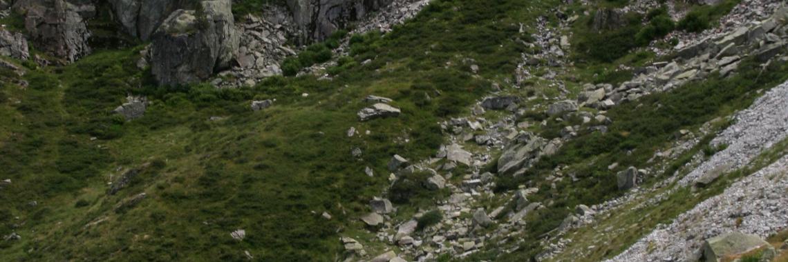 Sheep herds grazing in the Pyrenees on common land, Artouste, France (Photo: Alexandra KRUSE 2008) Common land