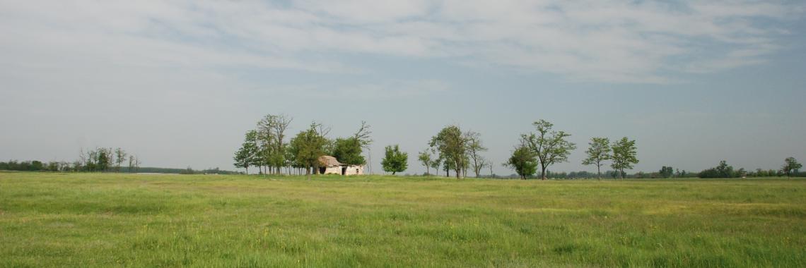 Agricultural land not in use anymore with an abandoned farmhouse. Hungary (Photo: Csaba CENTERI, Tápió-Hajta Landscape Protection District) Fallow land