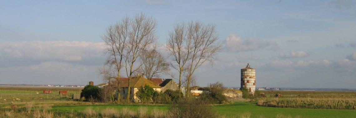 Ackerland mit Gebäuden, Weide und Ackerflächen, Baie de Sommes/Frankreich (Photo: Alexandra KRUSE 2011) Ackerland