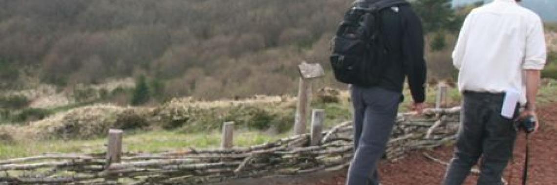 Hurdle work to enclose common fields (ex. from Puy de Dome region, France, Alexandra KRUSE)