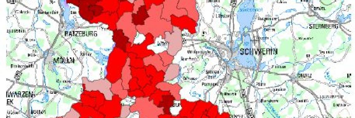 The map shows the diminution of hedges between 1900 and 1991 in West-Mecklenburg (North-East of Germany) .