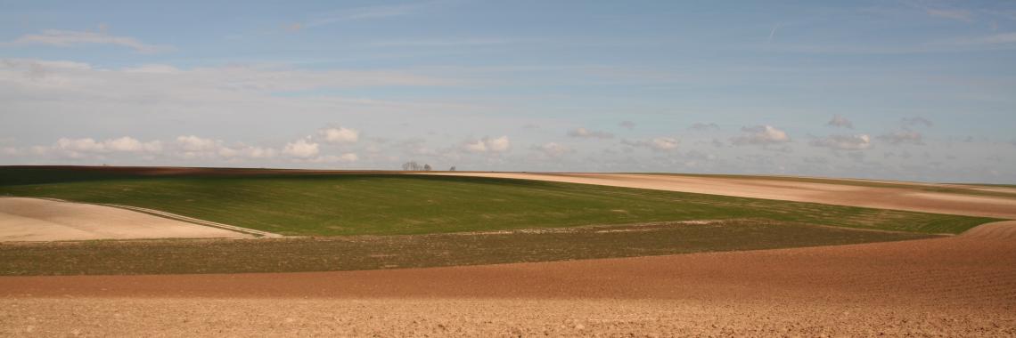 Different large scale fields in springtime, Champagne, France (Photo: Alexandra KRUSE 2007) Fields
