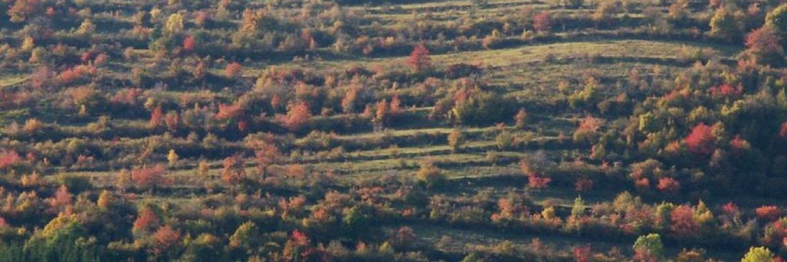 Terraced landscape in Horny Tisovnik in Slovakia