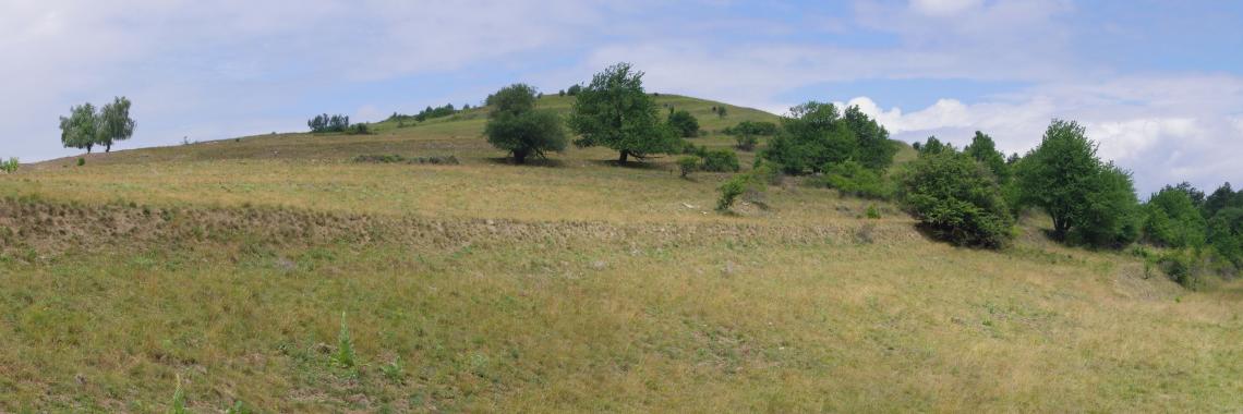 Terraced landscape in Budina in Slovakia