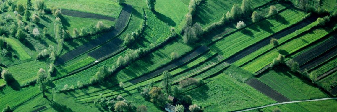 Terraced landscape in Hrinova in Slovakia