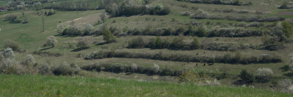 Terraced landscape in Hrinova in Slovakia