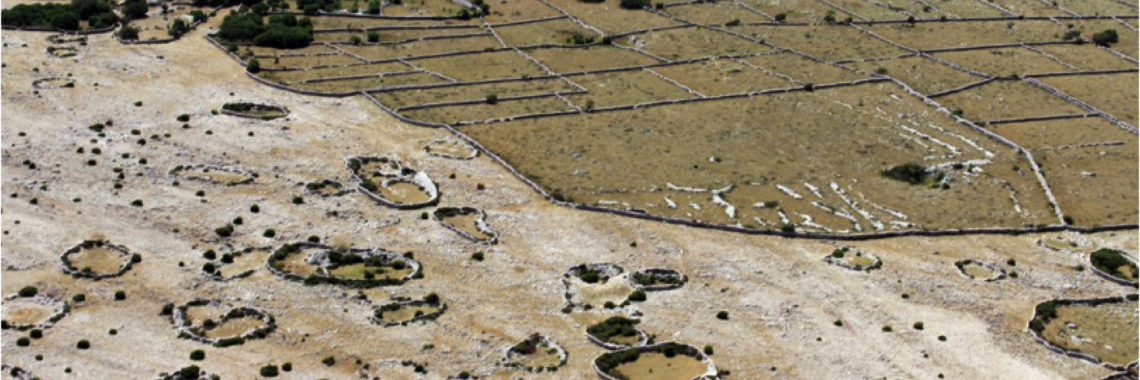 Pastures of the island of Krk in Croatia