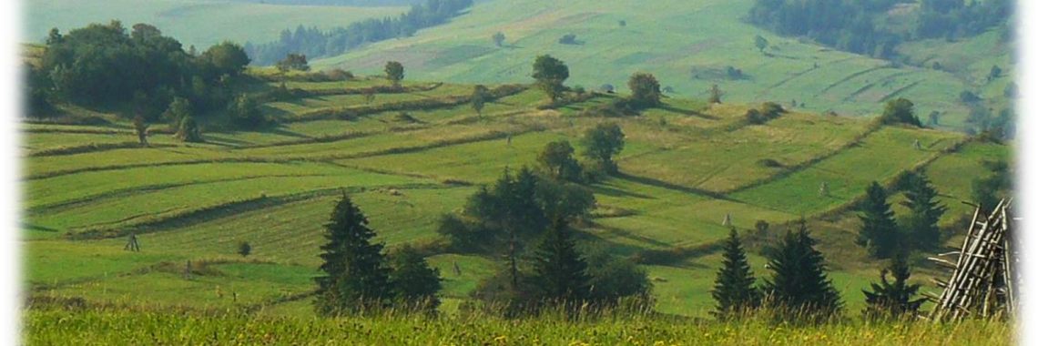 Enclosed fields in Slovakia