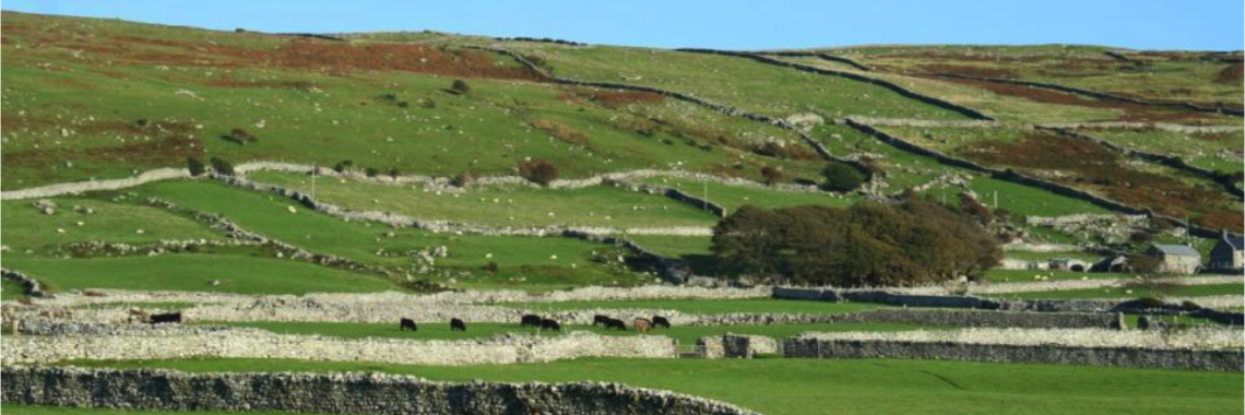 Enclosed fields in the United Kingdom