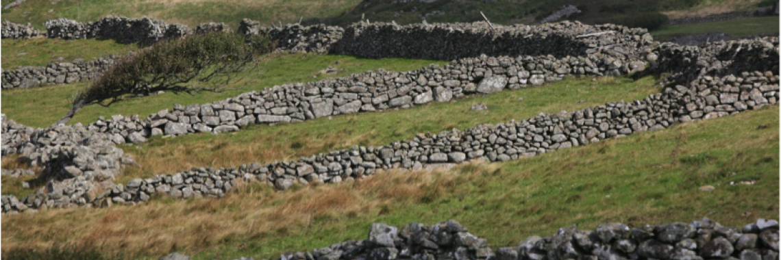 Enclosed infields in Vest-Lista, S-Norway (Photo: Oskar Puschmann / NIBIO)