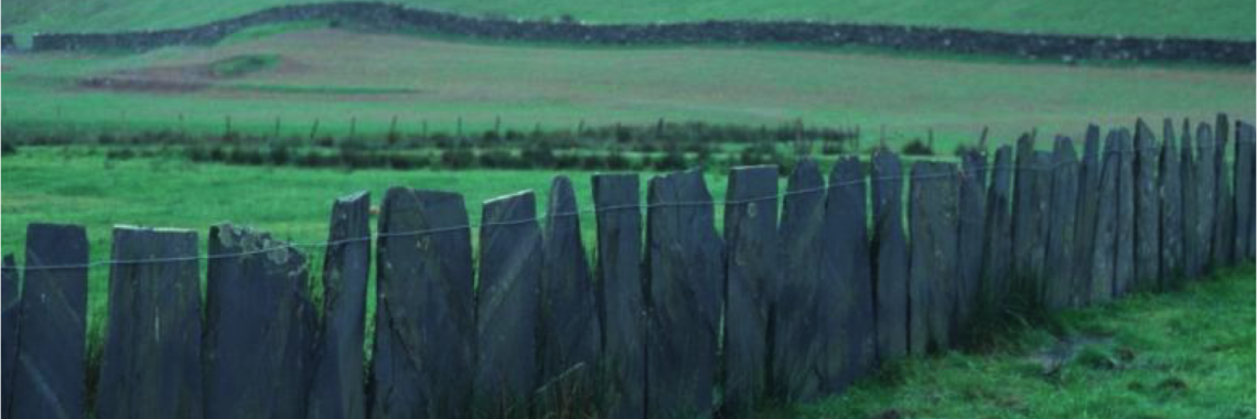 Slate walling in north Wales in the United Kingdom