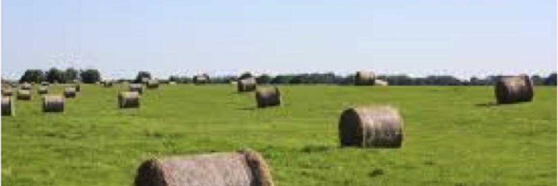 Hay field in Germany