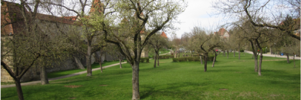 Wooded grasslands in Rothenburg an der Tauber in Germany