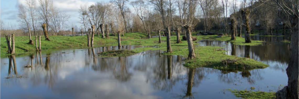 Water meadows in the Loire region in France