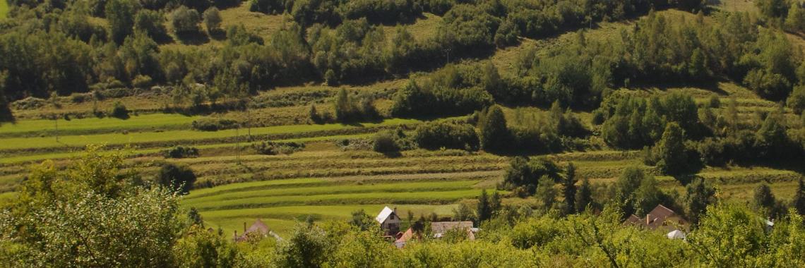 Terraced landscape in Cierny Balog in Slovakia
