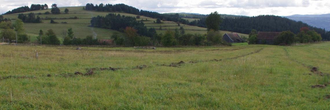 Farm in a terraced landscape in Levocske Vrchy Levo in Slovakia