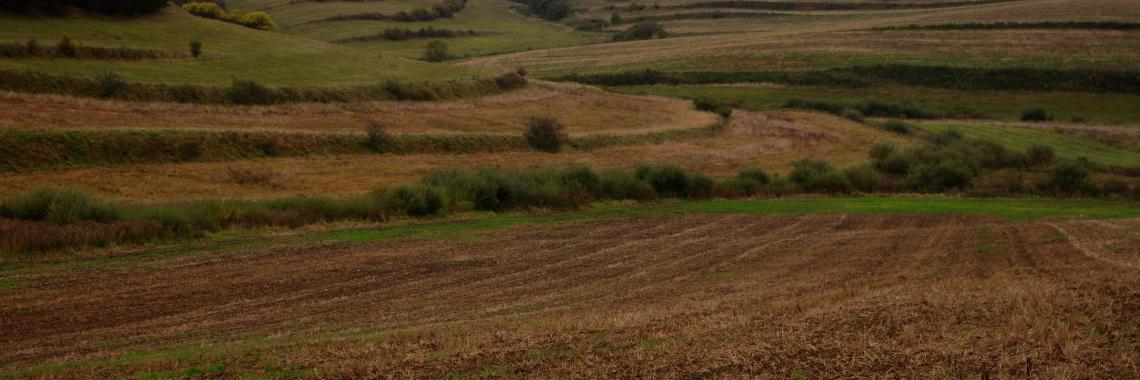 Terraced landscape in Levocske Vrchy Levo in Slovakia