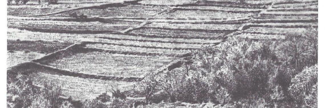 In the foreground Stufenraine (Ackerterrassen) which divide the slope and reduce erosion. Sometimes these Stufenraine had also irrigation channels. Background: mosaic of small fields for different crops (Konold 1996, p. 108)