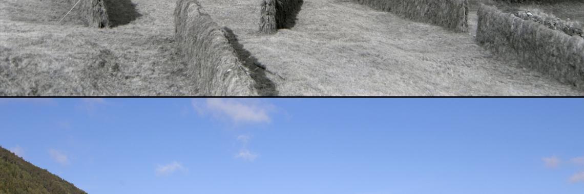 Annual voluntary collective hay mowing in 2012 and 2013 in Sørfold municipality, North-Norway island of Furøya, South-Norway. Combined barn with access bridge to hay floor in the background. (Photo: Rakel Nystabakk, Oskar Puschmann / NIBIO).