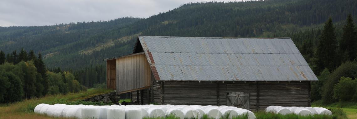 Modern round bales placed next to a presumably empty hay barn in Gausdal, East-Norway (Photo: Kari Stensgaard / NIBIO).