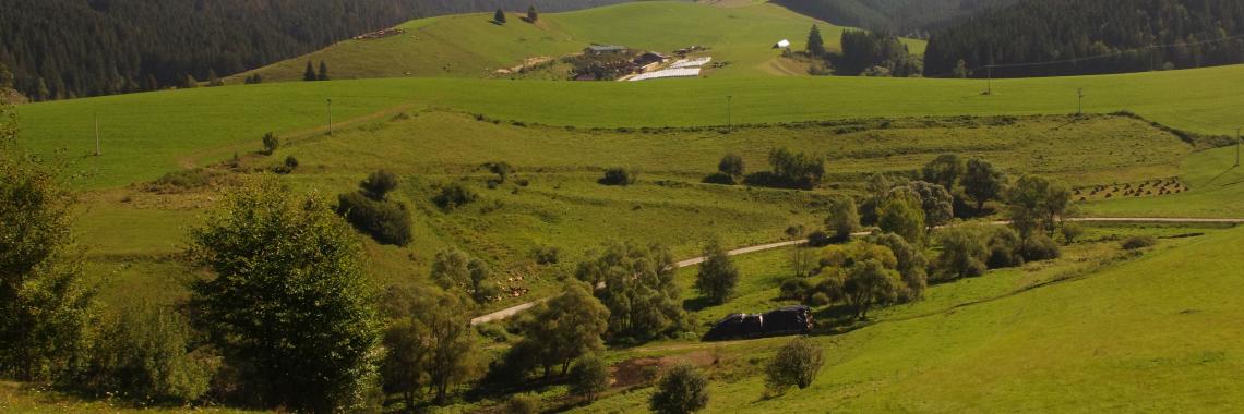 Pastoral land in the cadastral district of Čierny Balog - a big farm with cows. SK / Banská Bystrica Region / Brezno District. Martina Slamová. 2016