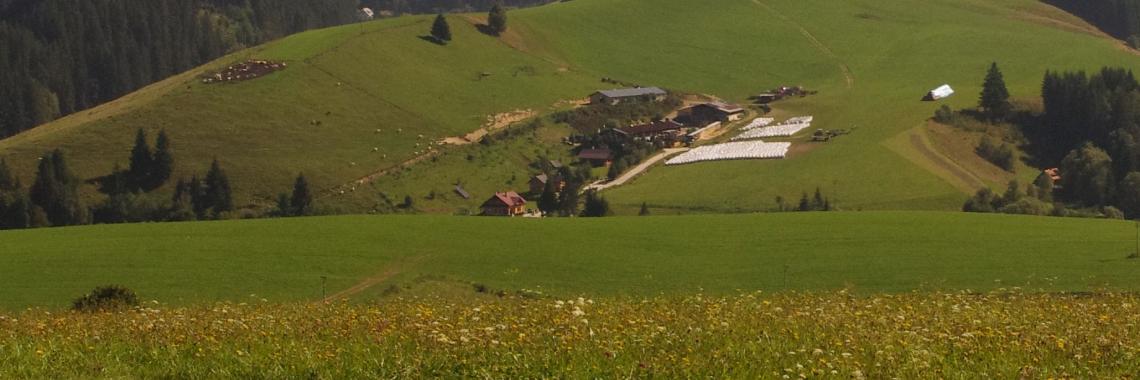 Pastoral land in the cadastral district of Čierny Balog - the second big farm. SK / Banská Bystrica Region / Brezno District. Martina Slamová. 2016
