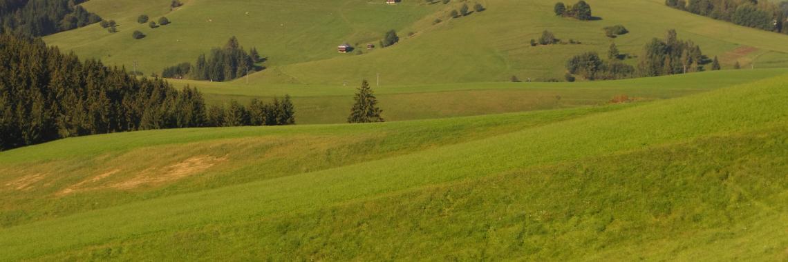 Pastoral land in the cadastral district of Čierny Balog - wooden chalets linked with sheperding and milk products making. SK / Banská Bystrica Region / Brezno District. Martina Slamová. 2016