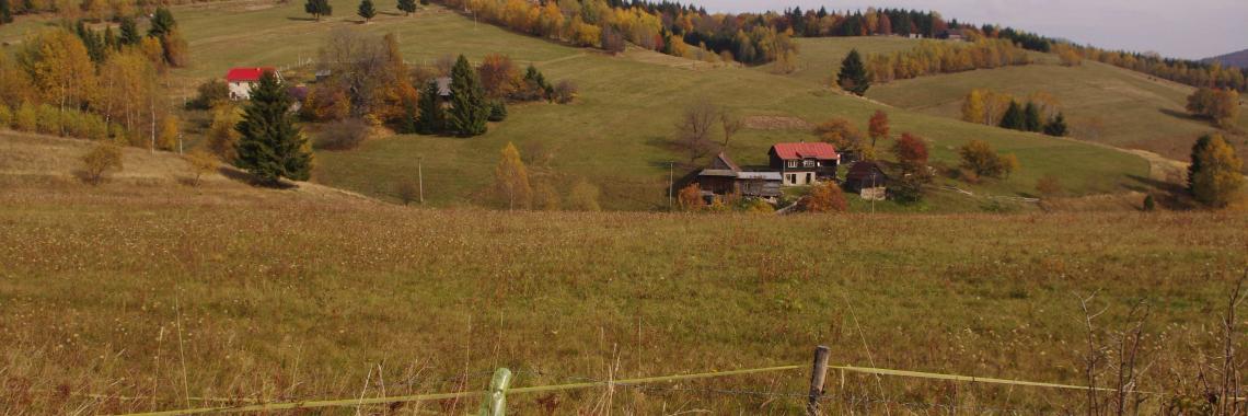 Typical pastoral landscape of the cadastral district of Drábsko in the Veporksá vrchy Mts. - scattered settlements and pastures. SK / Banská Bystrica Region / Brezno District. Martina Slamová. 2017