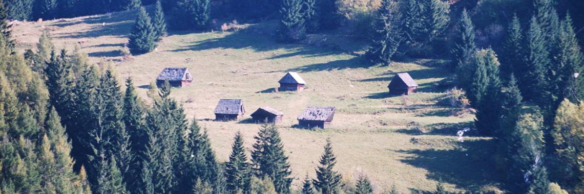 Wooden haylofts in the cadastral district of Nižná Boca in theLow Tatras Mts. SK / Žilina Region / Liptovský Mikuláš District. Martina Slamová. 2003