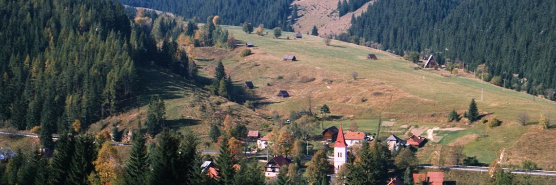 Typical pastoral landscape with haylofts of the cadastral district of Nižná Boca in the Low Tatras Mts. SK / Žilina Region / Liptovský Mikuláš District. Martina Slamová. 2003
