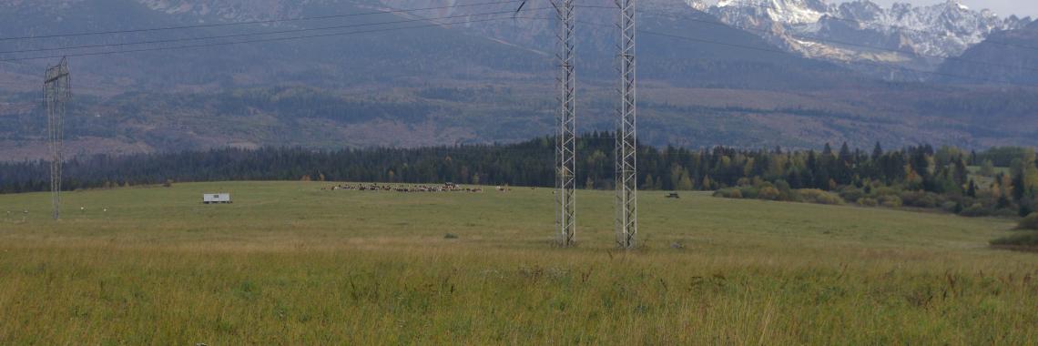 Typical pastoral landscape of the cadastral district of Važec in the Podtatranská Kotlina Basin (the High Tatras Mts. In the background). SK / Žilina Region / Liptovský Mikuláš District. Martina Slamová. 2017