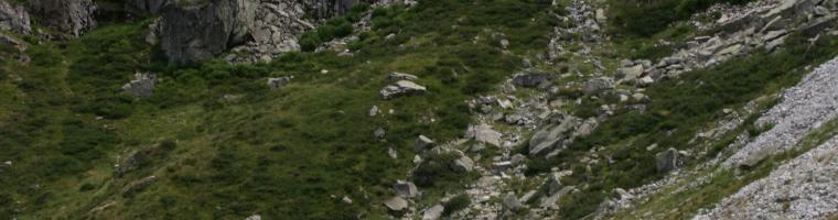 Sheep herds grazing in the Pyrenees on common land, Artouste, France (Photo: Alexandra KRUSE 2008) Common land