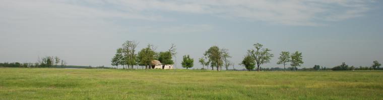 Agricultural land not in use anymore with an abandoned farmhouse. Hungary (Photo: Csaba CENTERI, Tápió-Hajta Landscape Protection District) Fallow land