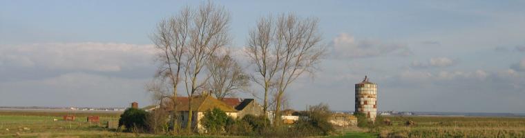 Farmland with buildings, pasture and arable land, Baie de Sommes/France (Photo: Alexandra KRUSE 2011) Farmland