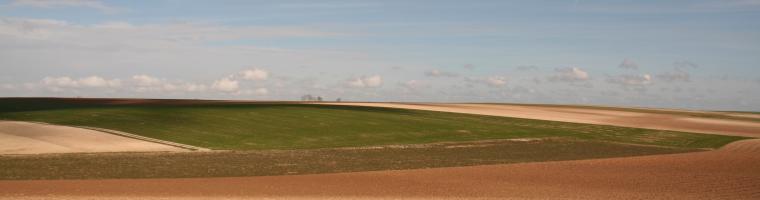 Different large scale fields in springtime, Champagne, France (Photo: Alexandra KRUSE 2007) Fields
