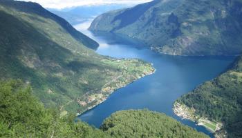 Lake surrounded by wooded grasslands in norway